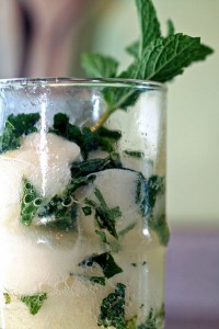 sorbet vodka champagne