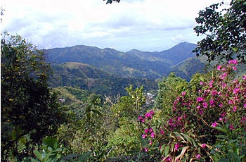 Jamaica